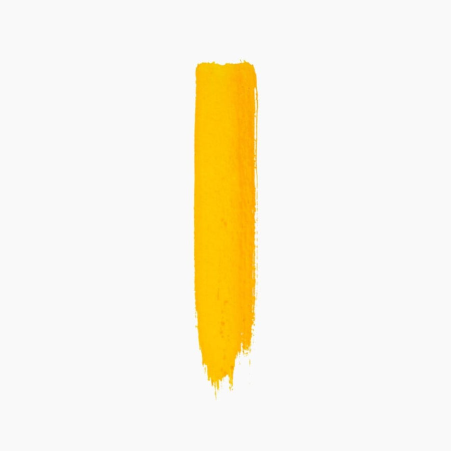 Camel White Bristle Brush – Flat Series 56