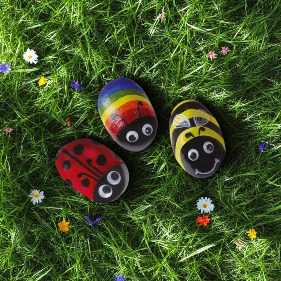 Creative Jack My Stone Painting Kit – Insect Series