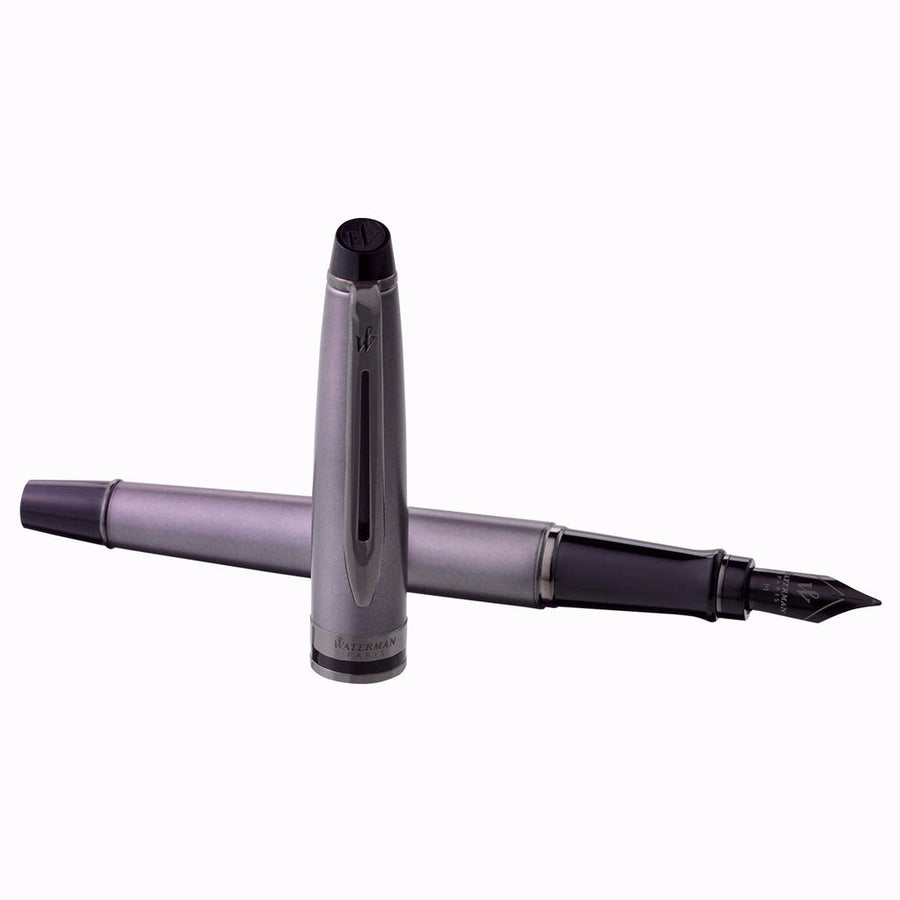 Waterman Expert Fountain Pen – Metallic Silver with Ruthenium Trim