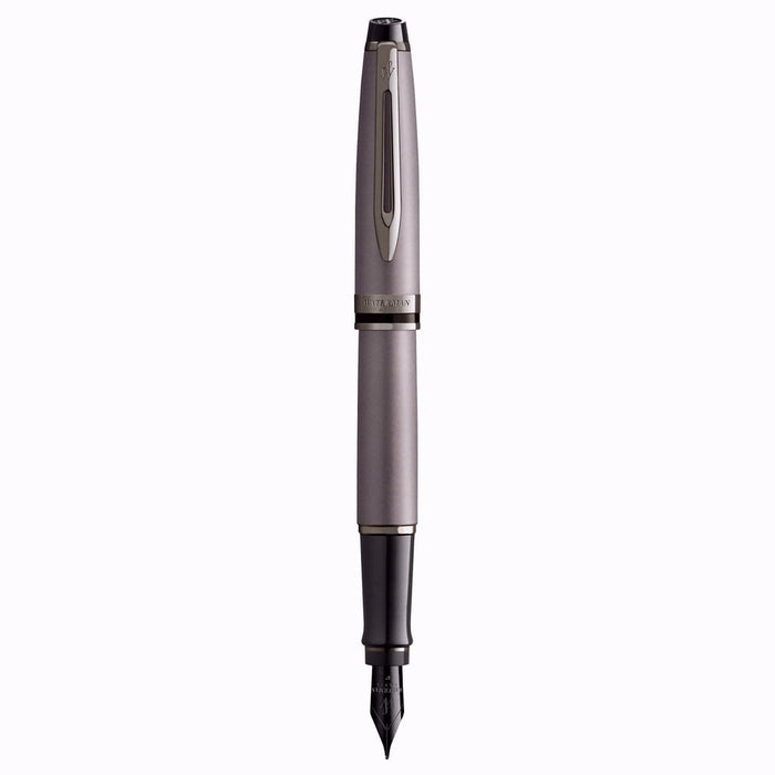 Waterman Expert Fountain Pen – Metallic Silver with Ruthenium Trim