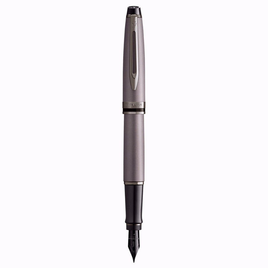 Waterman Expert Fountain Pen – Metallic Silver with Ruthenium Trim