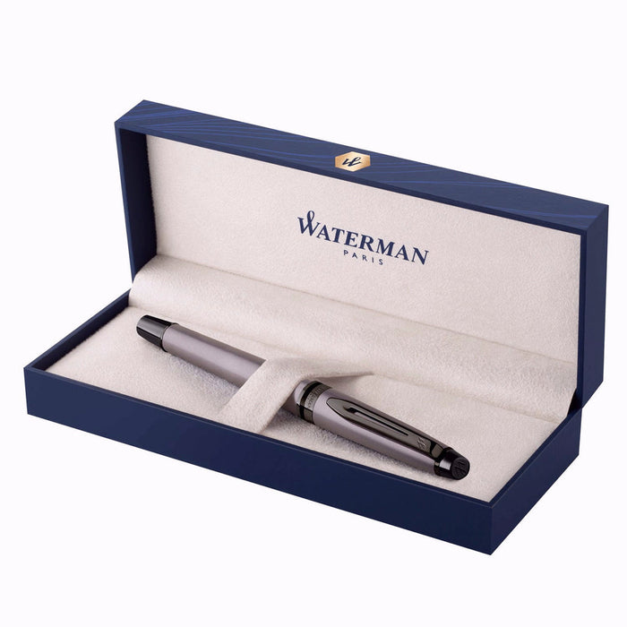 Waterman Expert Fountain Pen – Metallic Silver with Ruthenium Trim