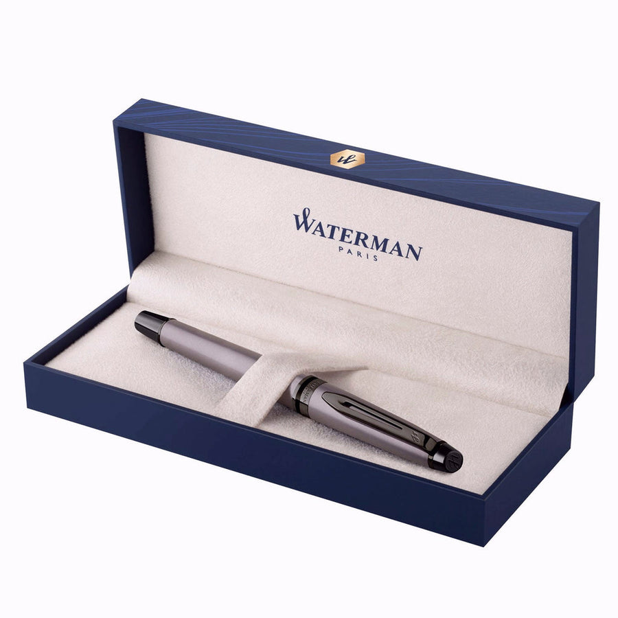 Waterman Expert Fountain Pen – Metallic Silver with Ruthenium Trim