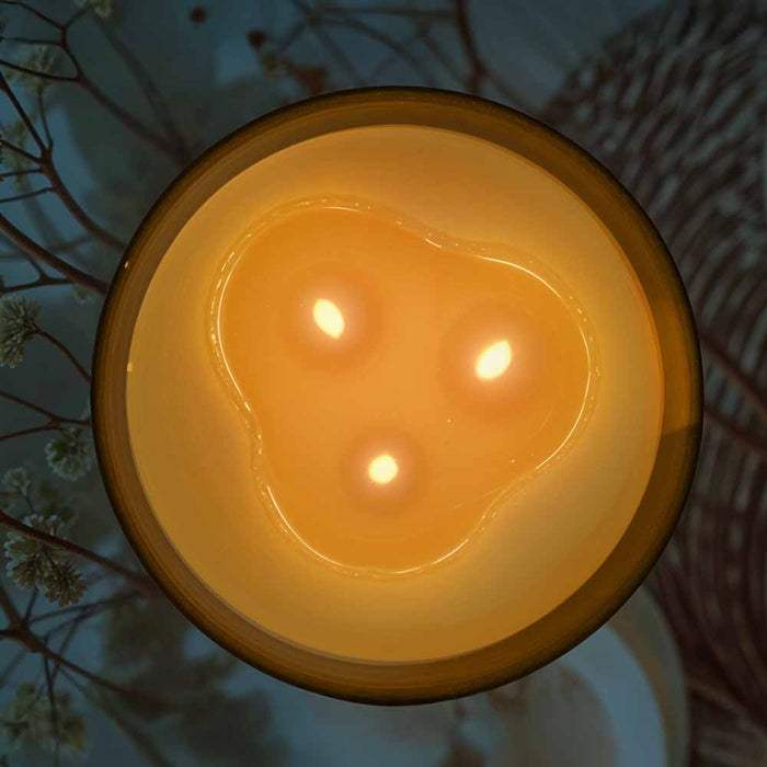 Ekam Vanilla 3-Wick Scented Candle